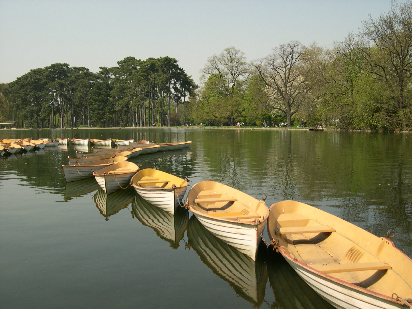 Alignement Barques Bois de Boulogne photo et image jardins, nature Images