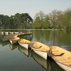 Alignement Barques Bois de Boulogne