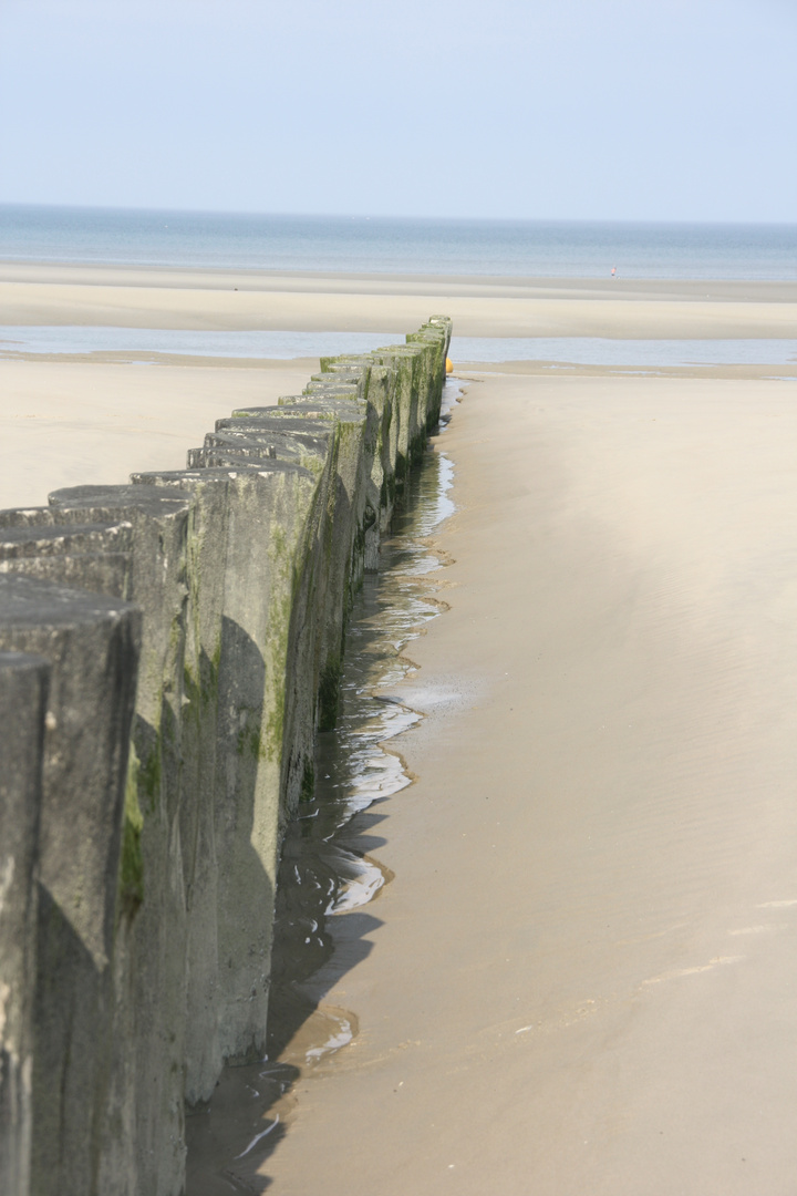 ...Alignement, plage de Berck...