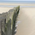 ...Alignement, plage de Berck...