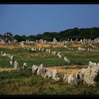 Alignements de Carnac