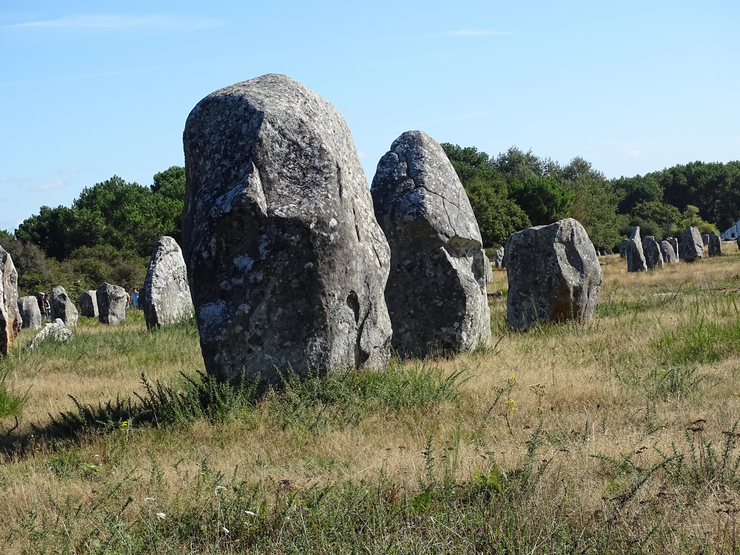 Alignements de Menhirs à Carnac 