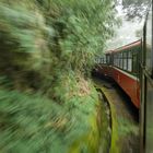 Alishan Mountain Railroad