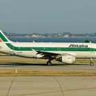 Alitalia - Airbus A319-112- VCE 2013