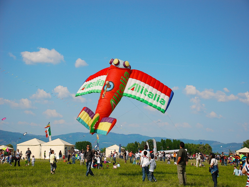 ALITALIA....sempre più in basso.....