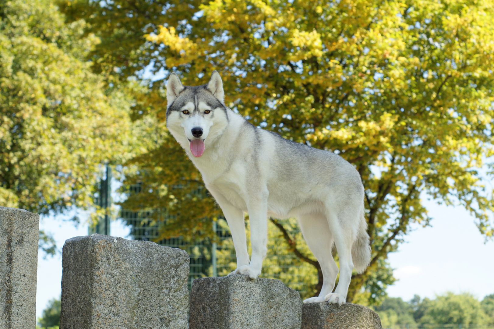 Aliya beim klettern