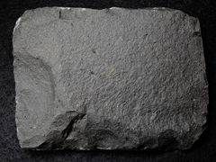 Alkali-Olivinbasalt aus Tschechien