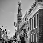 Alkmaar 