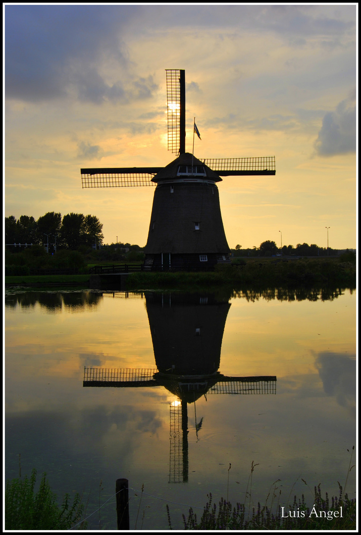 Alkmaar ( Holanda)