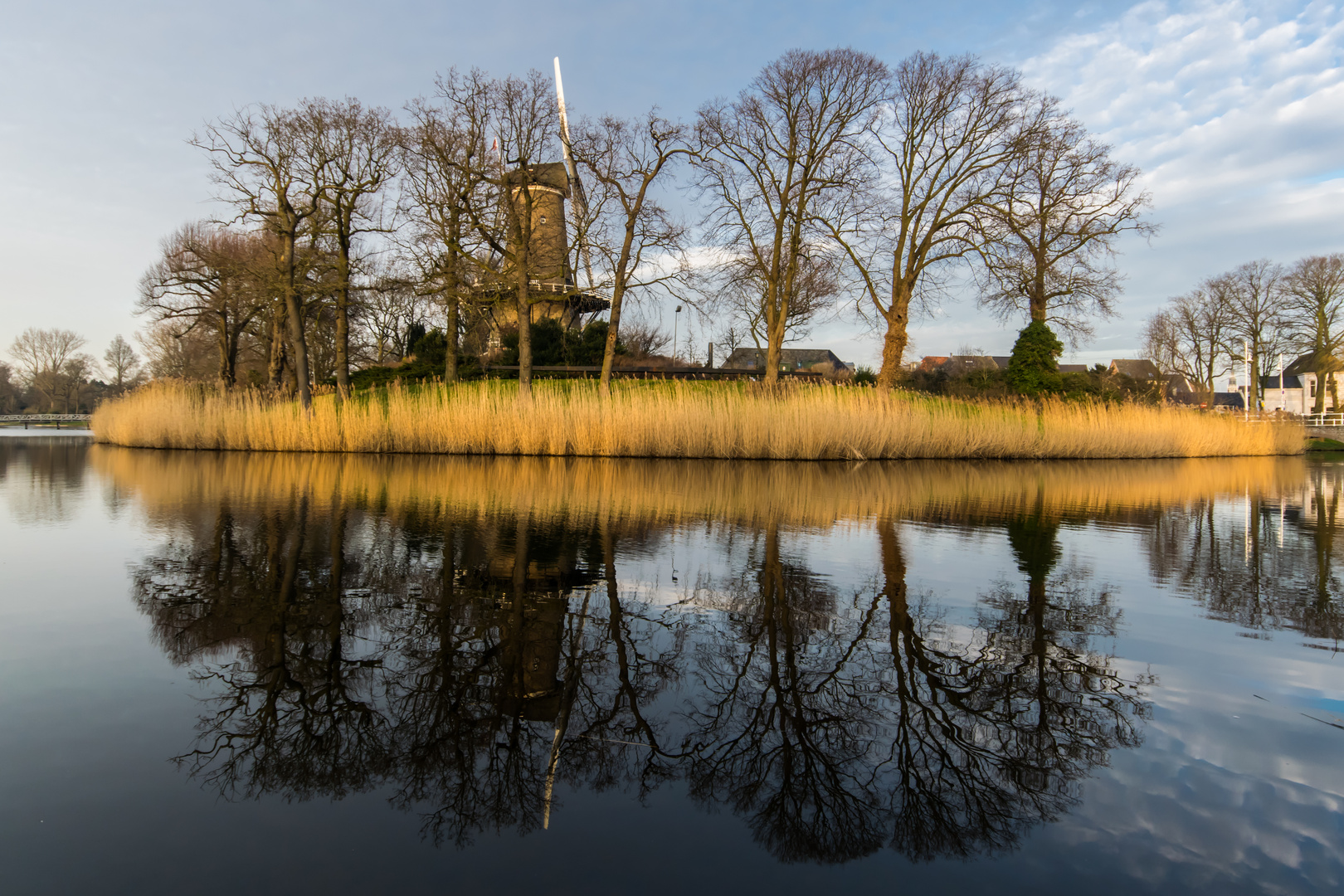 Alkmaar - Molen van Piet 