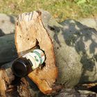 Alkohol kranker Baum