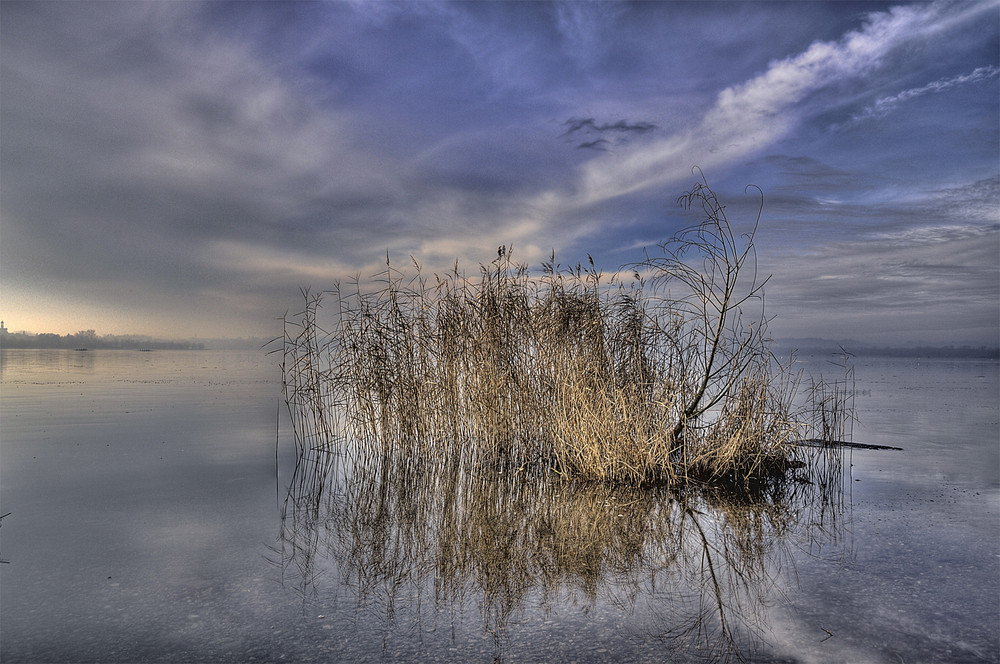 ...all' alba, al lago...