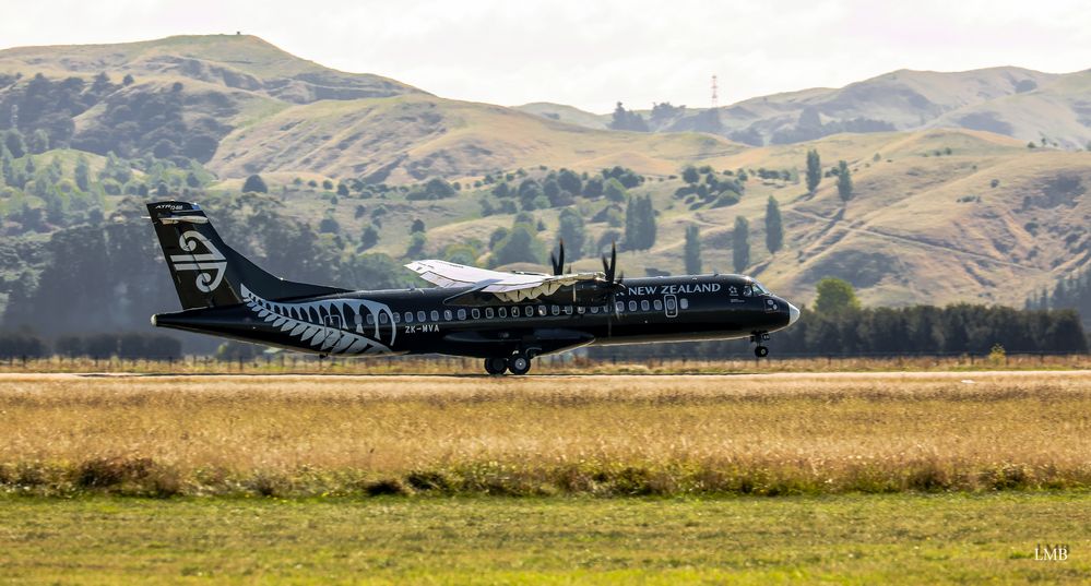 All Blacks at Napier