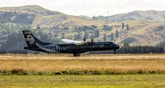 All Blacks at Napier