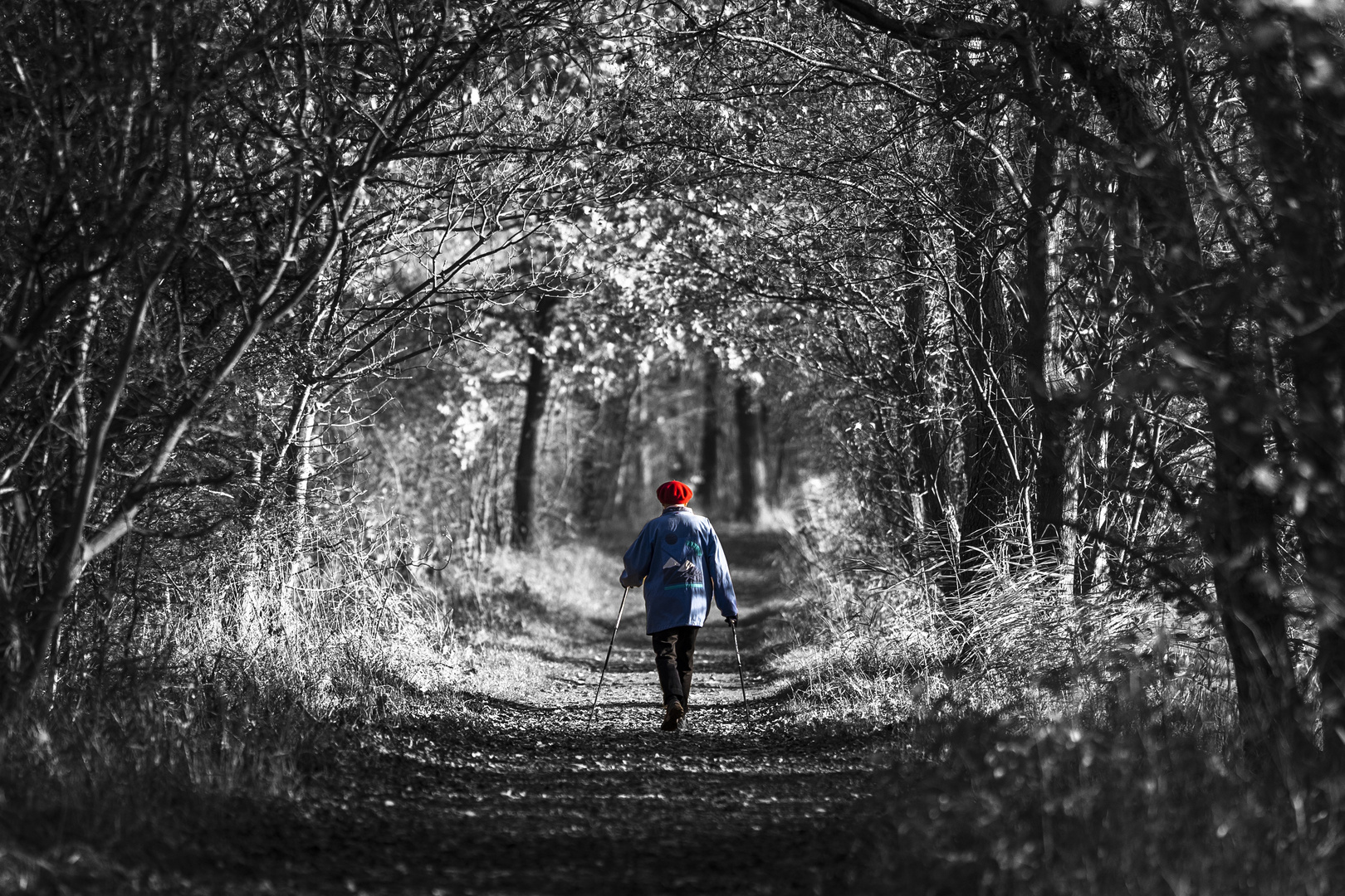 "All diese Momente werden verloren sein in der Zeit, so wie Tränen im Regen. "