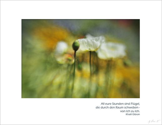 All Eure Stunden sind Flügel