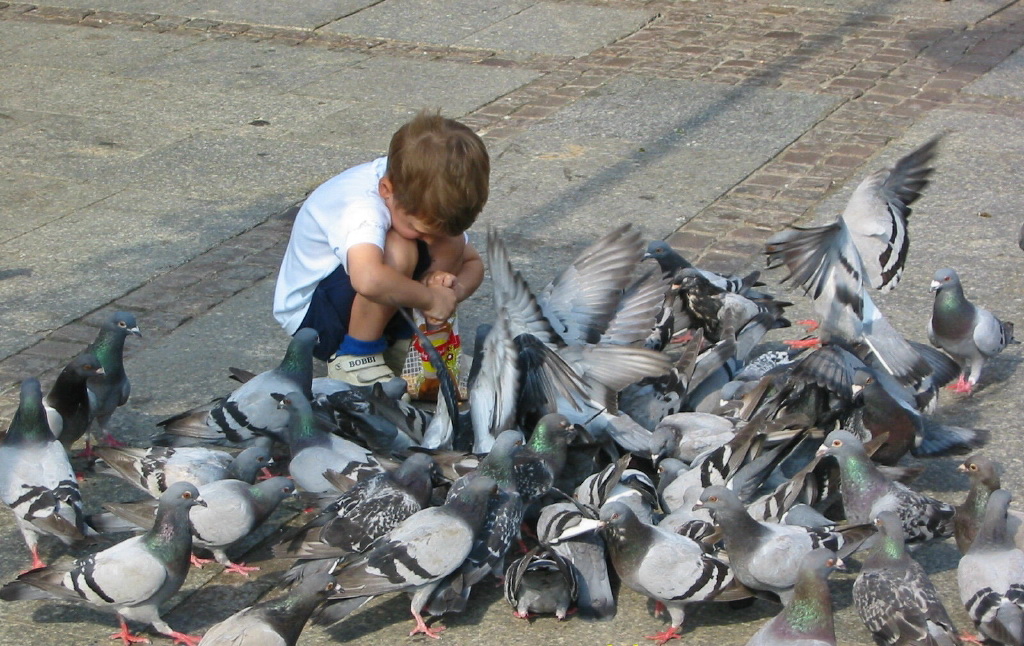 All meine Täubchen