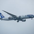 All Nippon Airways (Star Wars R2-D2 Livery)