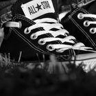 All Stars