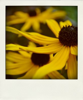 All these feelings inside