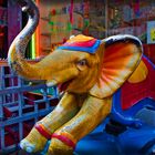 All Things Fun: ROYAL ELEPHANT