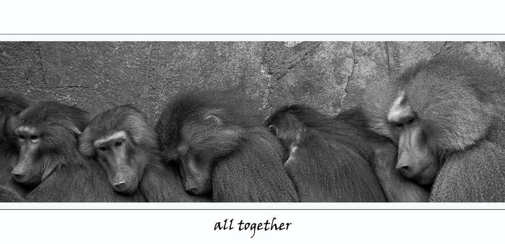 all together