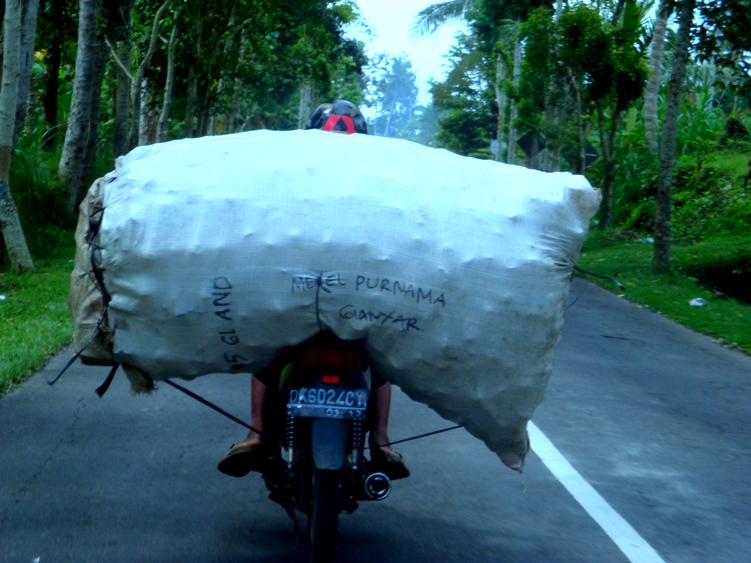 All-Transporter auf Bali