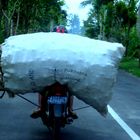 All-Transporter auf Bali