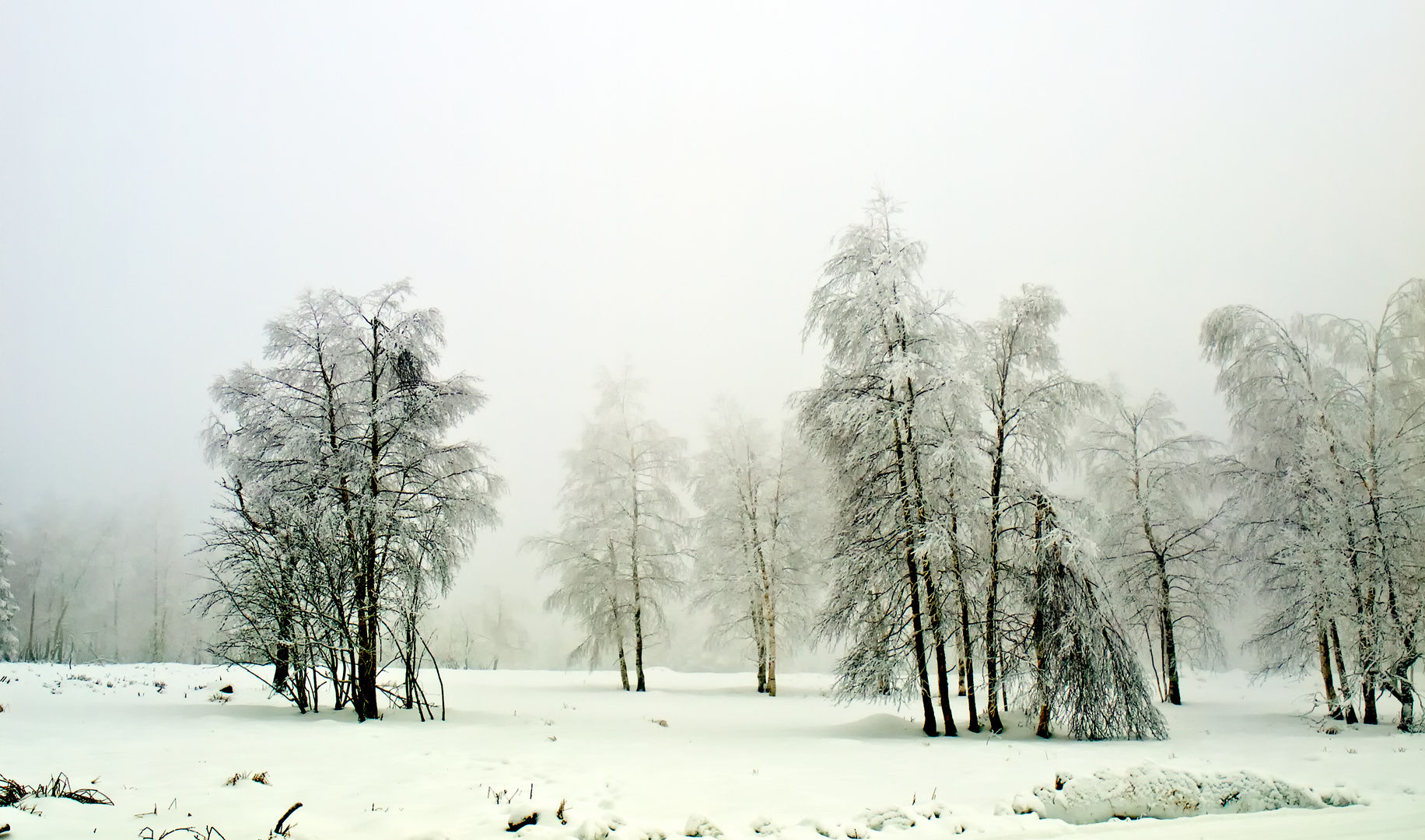 All White - Tout Blanc - Alles Weiß