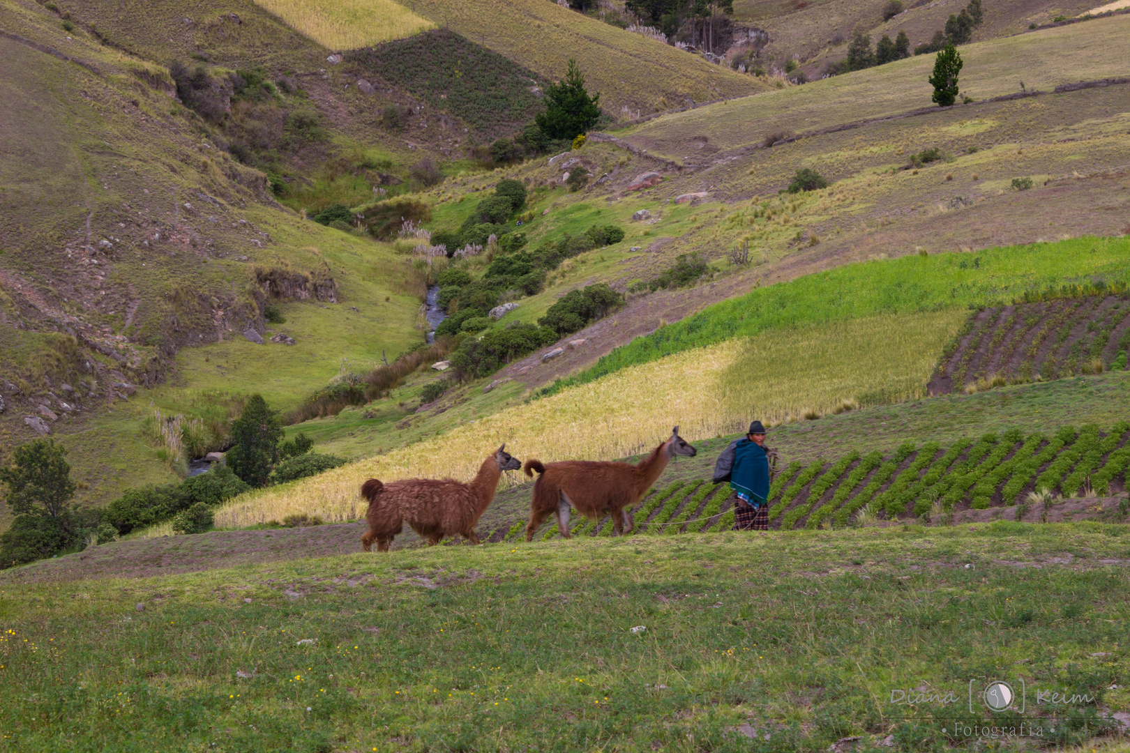 All you need is Ecuador_01