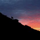 ALL'ALBA VERSO LA PUNTA ROSSA (GRAN PARADISO)