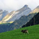 Alle anderen sind schon weg, jetzt aber schnell nach Hause