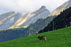 Alle anderen sind schon weg, jetzt aber schnell nach Hause