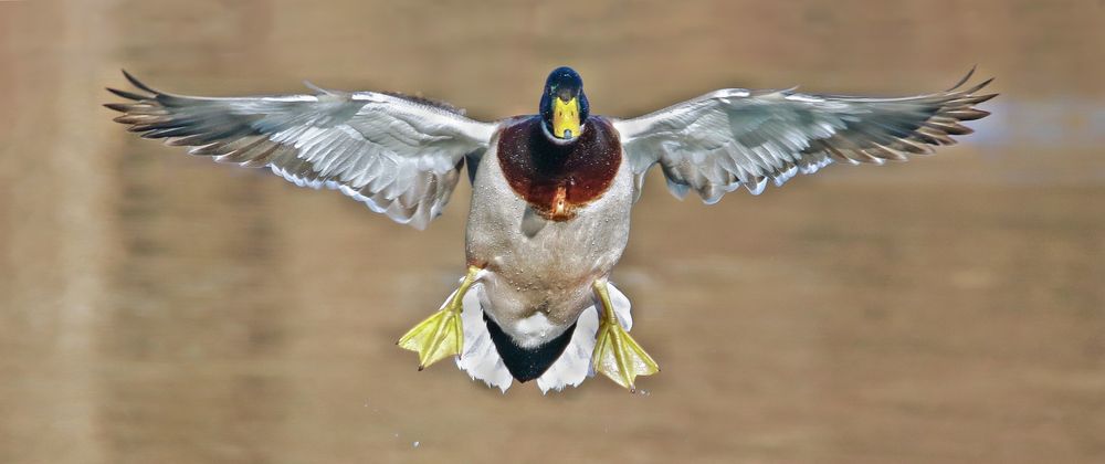 ALLE AUS DEM WEG !!