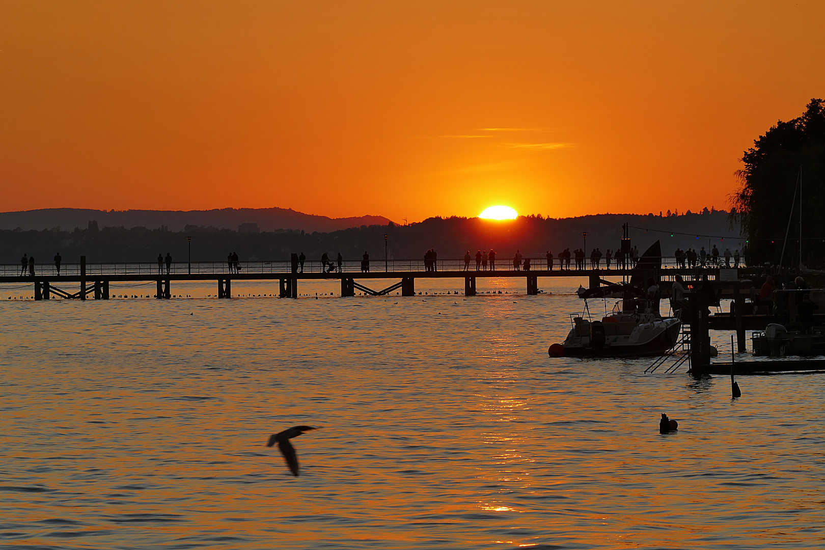 alle bestaunen den Sonnenuntergang