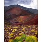 Alle bocche dell'Etna