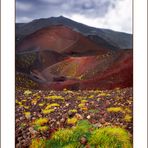 Alle bocche dell'Etna