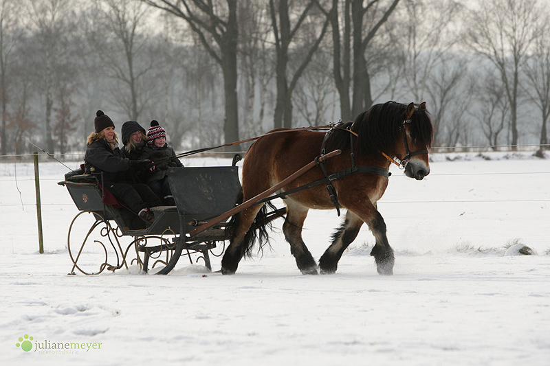 Alle breit am grinsen