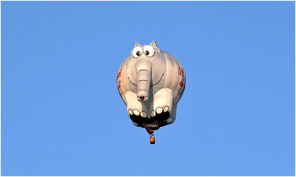 ...alle Elefanten fliegen hoch...