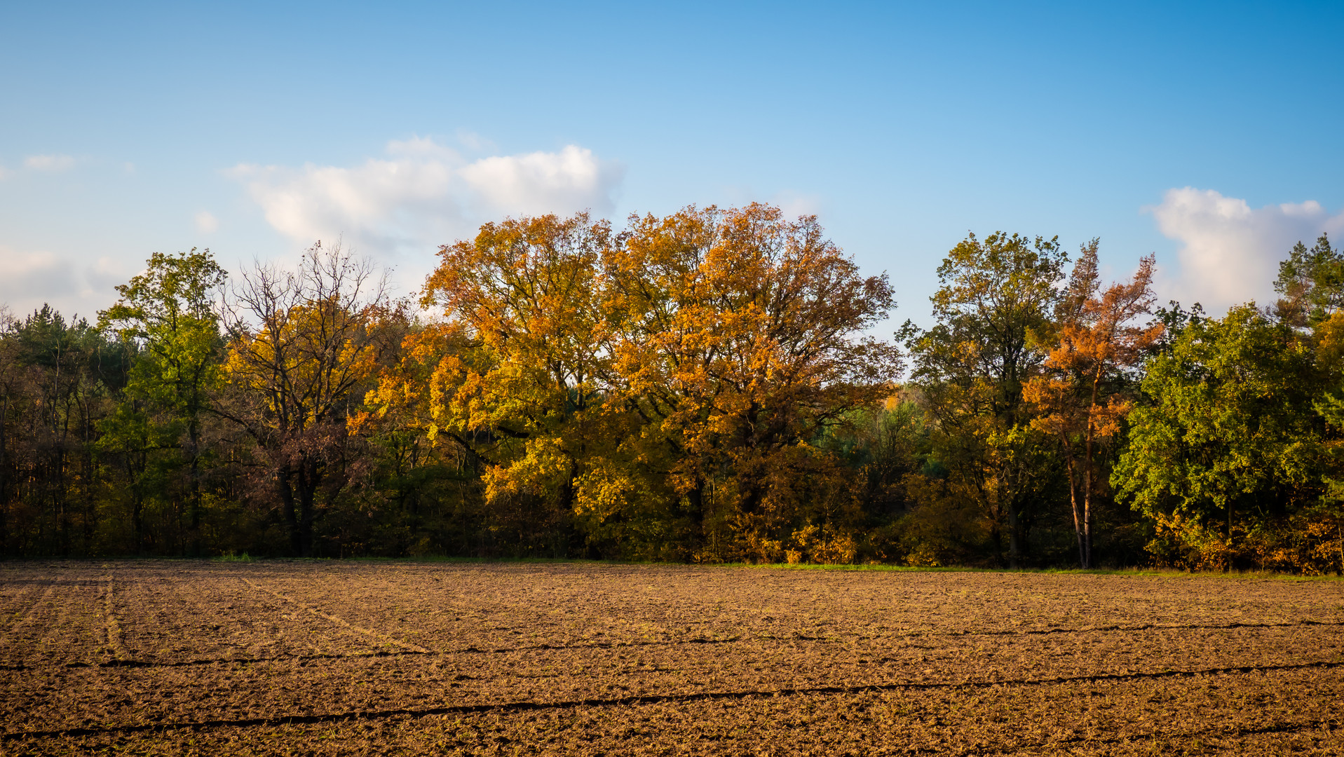 Alle Farben