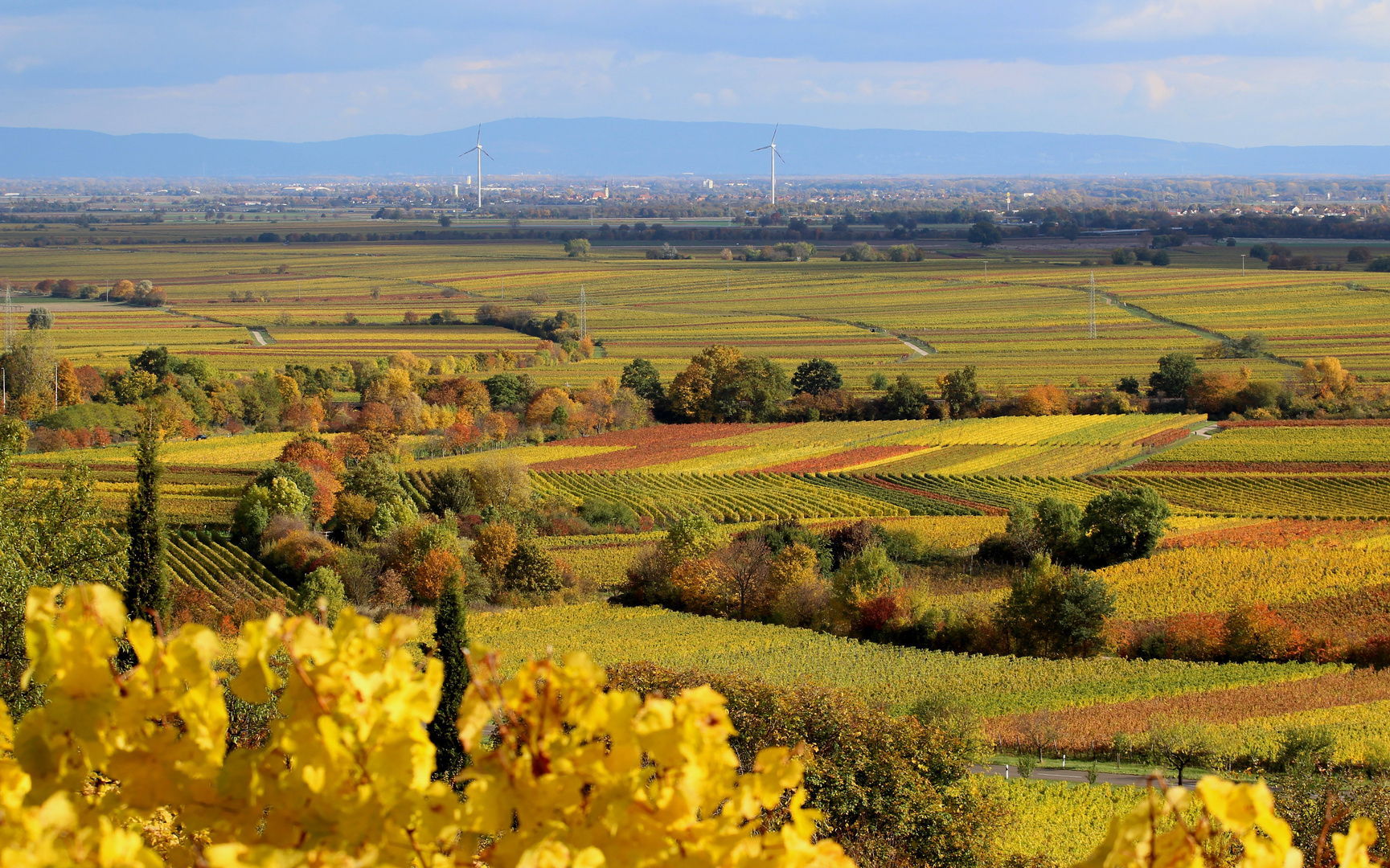 Alle Farben des Herbstes