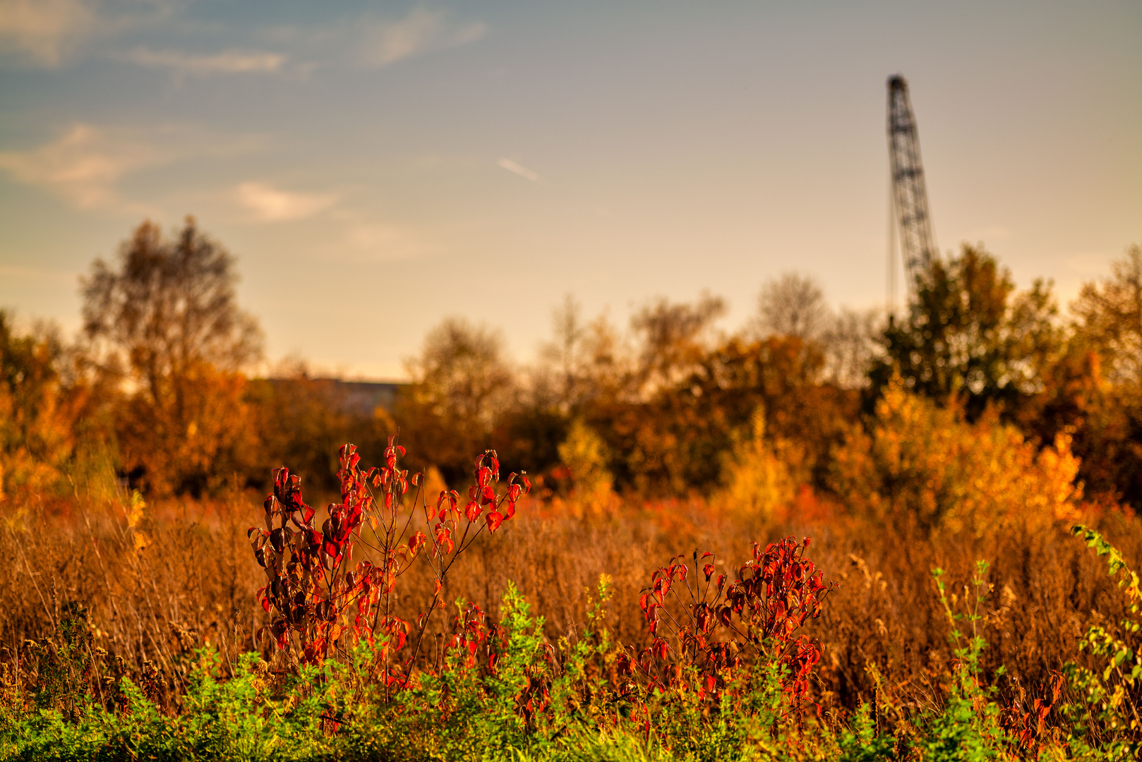 Alle Farben des Herbstes