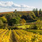 Alle Farben des Herbstes