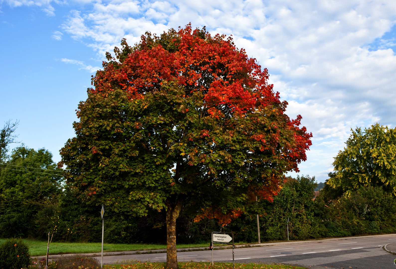 "Alle Farben" , ein Streetfoto :-)