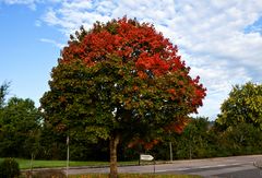 "Alle Farben" , ein Streetfoto :-)