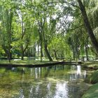 Alle fonte del Clitumno (Campello sul Clitunno, Perugia)