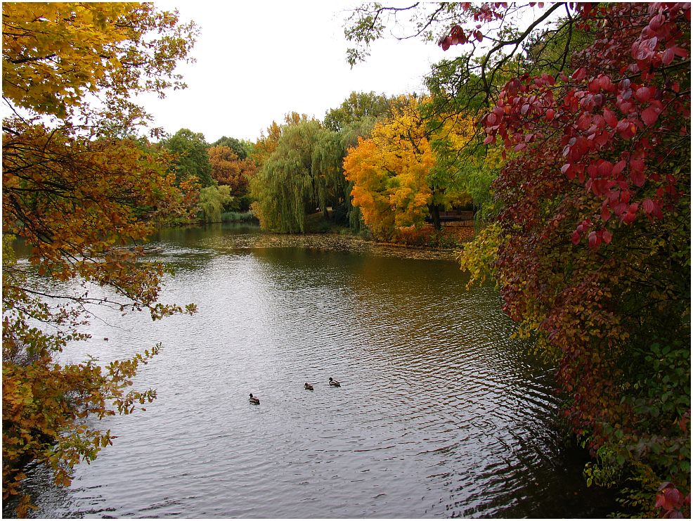 Alle Herbstfarben am Weiher