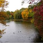 Alle Herbstfarben am Weiher