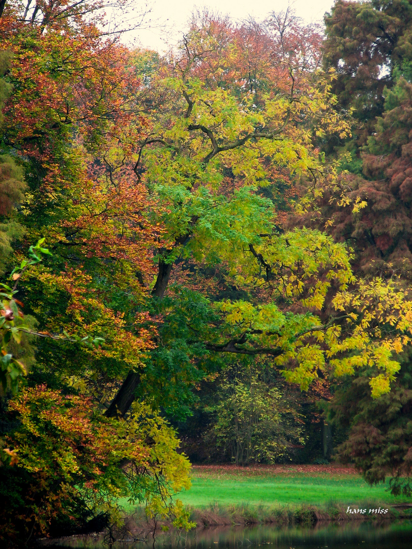 alle Herbstfarben vorhanden