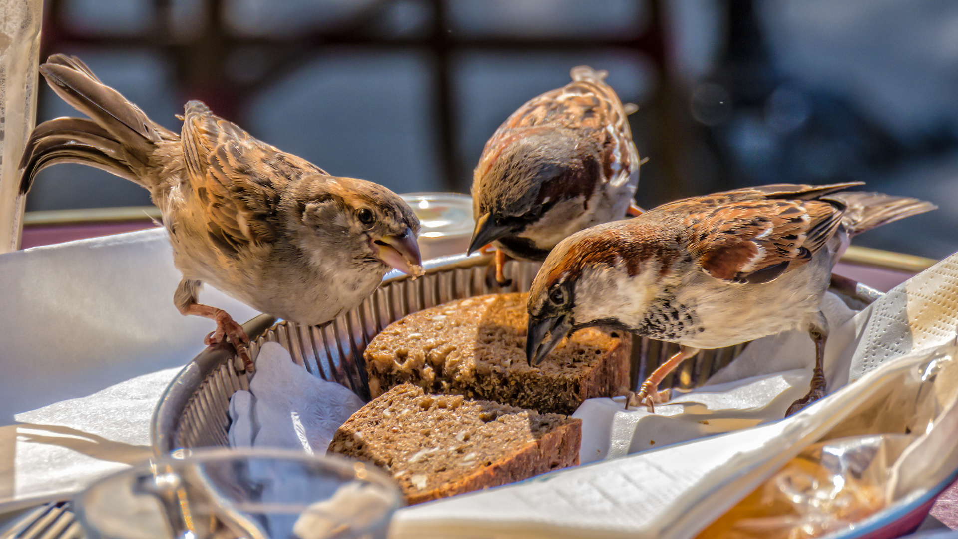 alle herkommen - es gibt Frühstück!